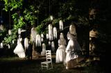 Sous bois 18 * 5184 x 3456 * (6.62MB)